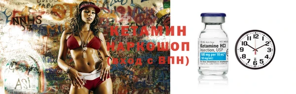 крисы Надым