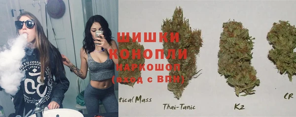 молекула духа Наволоки