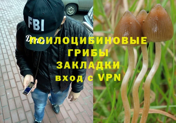 молекула духа Наволоки