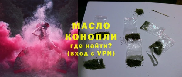 крисы Надым