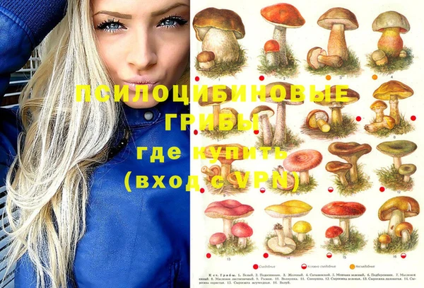 крисы Надым