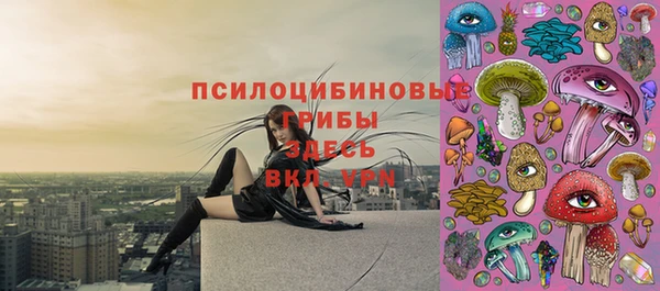 apvp Навашино