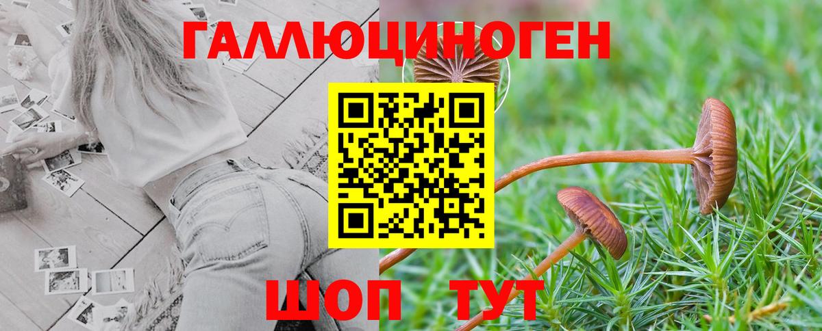Галлюциногенные грибы Magic Shrooms Обь